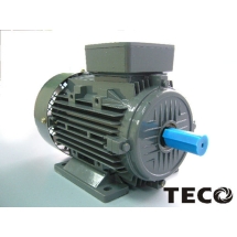 Motor TECO - Motor kéo TECO - Động cơ điện TECO