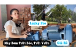 MÁY BƠM LƯU LƯỢNG LUCKY PRO VÀ ỨNG DỤNG TRONG TƯỚI TIÊU