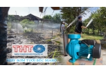 MÁY BƠM TƯỚI BÉC MARO, cửa hàng, đại lý chính hãng GIÁ TỐT