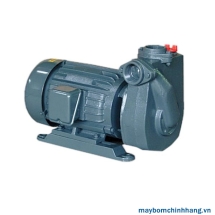 Máy bơm Tuabin đa tầng cánh APP HC-20 2HP