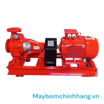 Bơm điện rời rục MARO CA40-200 ráp động cơ 7.5kW - 11kw 380V