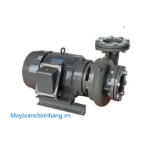 Bơm ly tâm trục ngang đầu gang EVERGUSH CP-215 20HP 380V