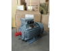 Hình Ảnh Thực Tế Motor SGP IE2 90L-2-2.2Kw