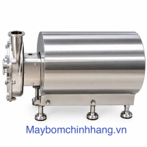 MÁY BƠM THỰC PHẨM DẠNG LOÃNG FLUSSO (SS 316L) DJ-LX-20-1 4kW 380V