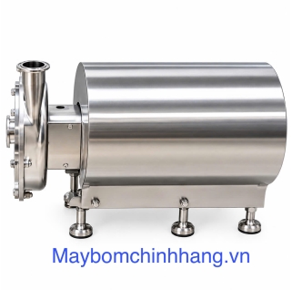 MÁY BƠM THỰC PHẨM DẠNG LOÃNG FLUSSO (SS 316L) DJ-LX-10 2.2kW 380V
